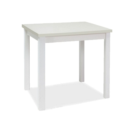 Adam white matt 90x65 Signal table