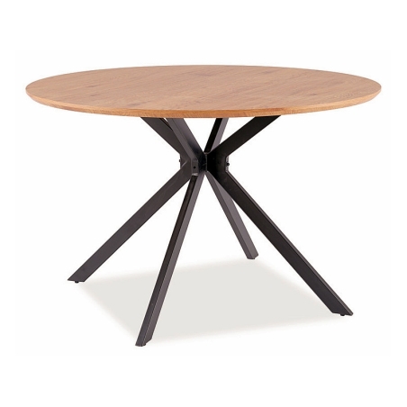 Aster oak table 120 Signal