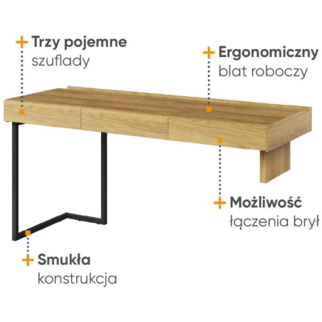 Desk 150 3S TF-04 TEEN FLEX Lenart