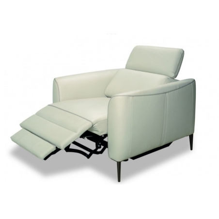 Dianthus armchair 1RPea2 Vero