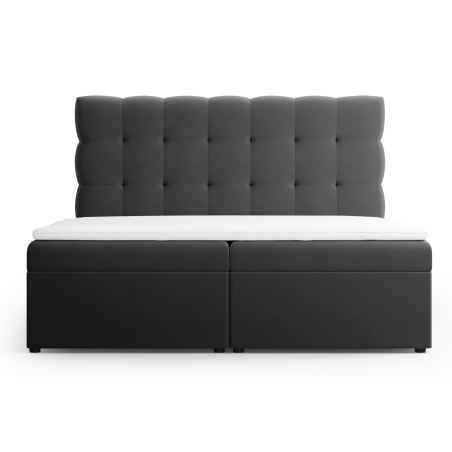 kolor - Ciemny szary, Welur Bali Łóżko Cosmopolitan-design - Szary (Blu14)