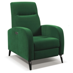 Kolor tapicerki: shades of green Grupa 3: Aston 27 