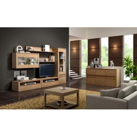 Malaren Large RTV Cabinet Zakor