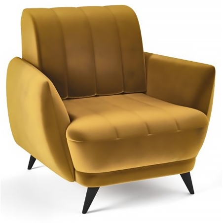 Roy Canvani armchair