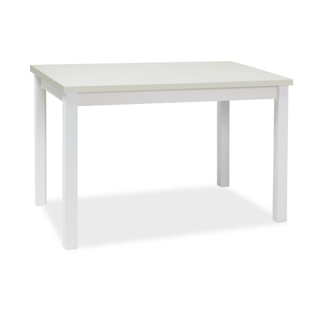 Adam white matt 100x60 table Signal