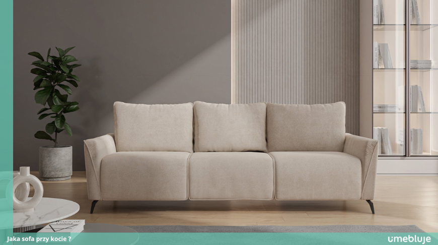 Jaka sofa przy kocie ?