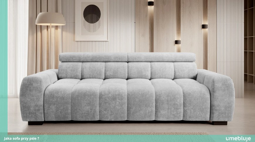 Jaka sofa przy psie?